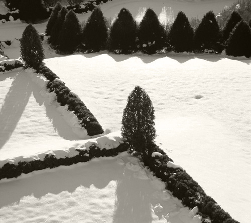 Rural Intelligence Style