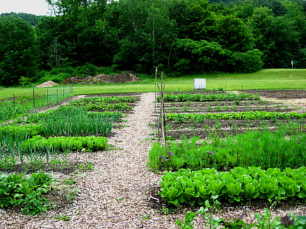 Rural Intelligence Community