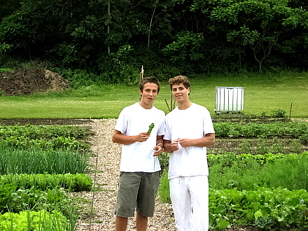 Rural Intelligence Community