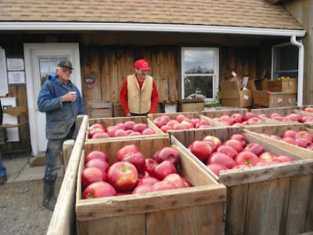 Rural Intelligence Food