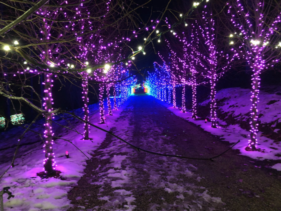 A portion of the Rainbow Walk