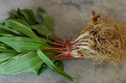 Rural Intelligence Food