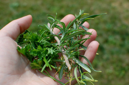 recipe herbs