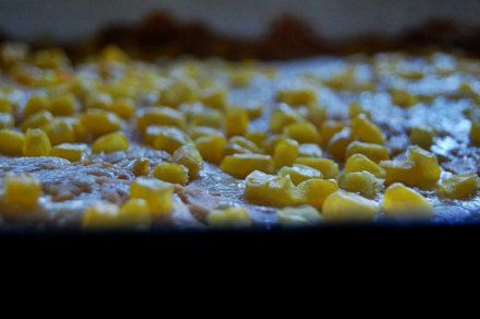 masa harina close up