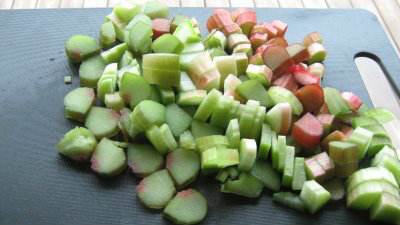 rhubarb tart pieces