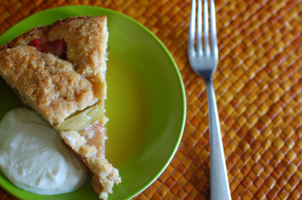 rhubarb cake slice