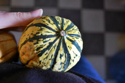 Rural Intelligence Food