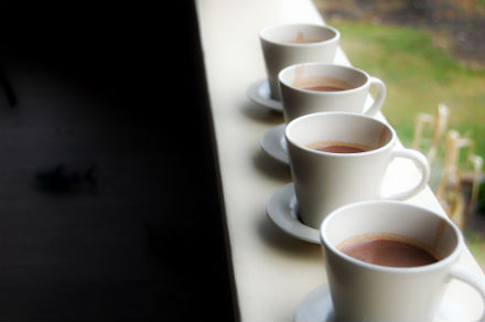 Rural Intelligence Food