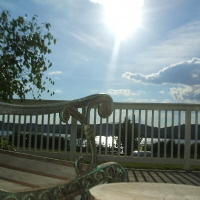 Rural Intelligence Food