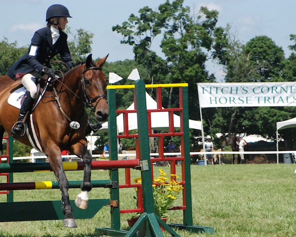 Rural Intelligence Parties and Openings