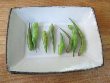 Rural Intelligence Style