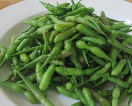 Rural Intelligence Style