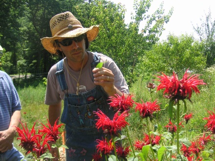 Rural Intelligence Food