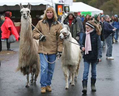 Rural Intelligence Road Trips