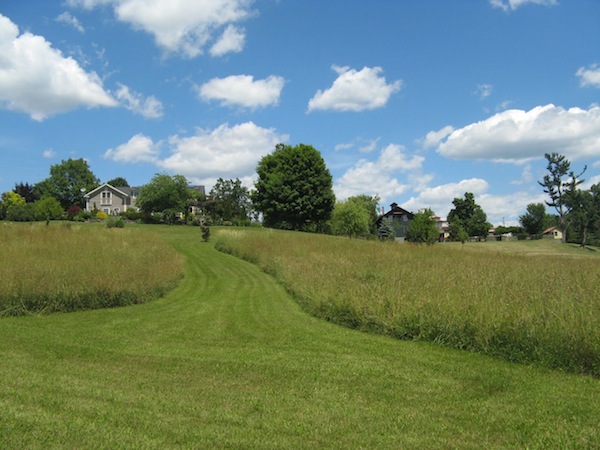 Rural Intelligence Style