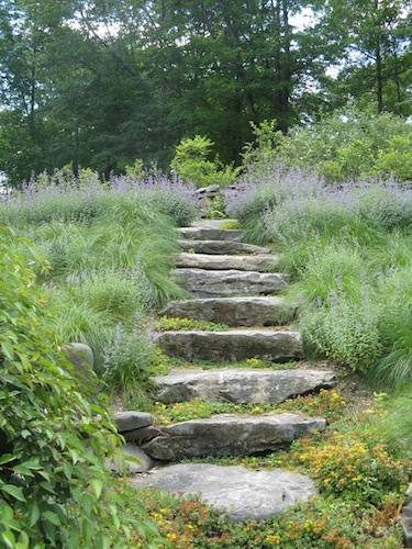 Rural Intelligence Style