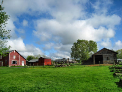 Rural Intelligence Food