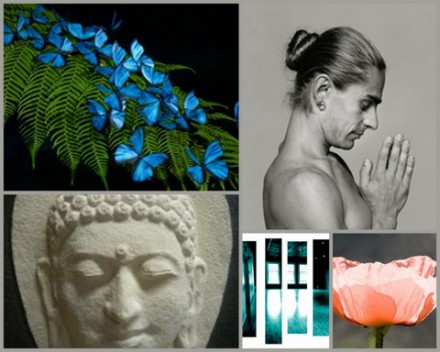 Rural Intelligence Style