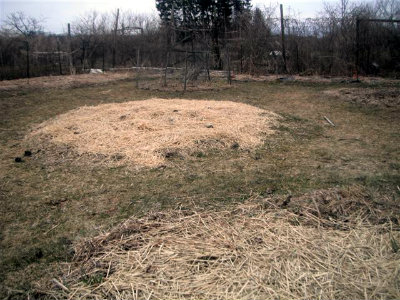 straw patch