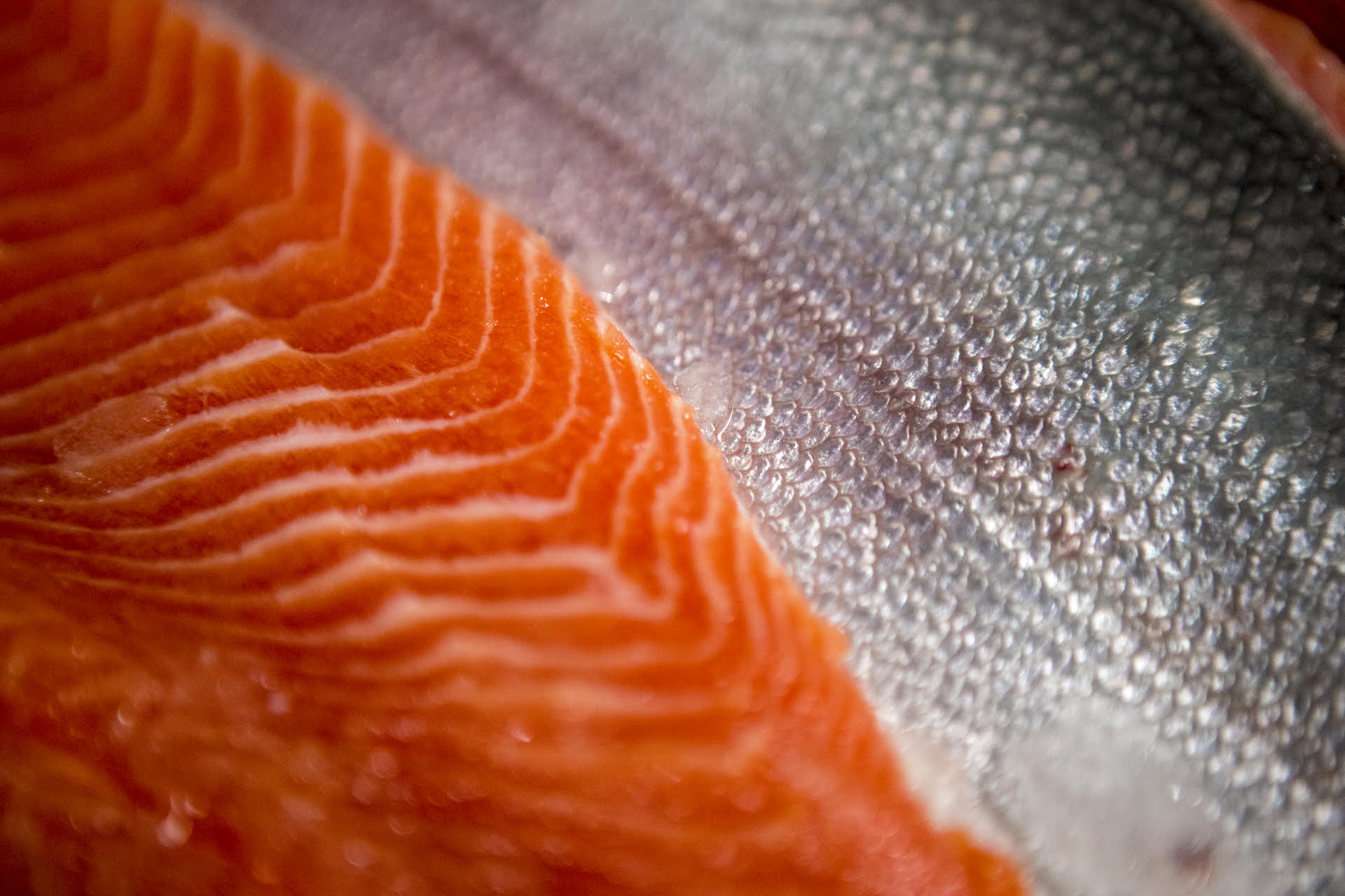 Always sashimi grade