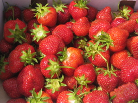 Rural Intelligence Food