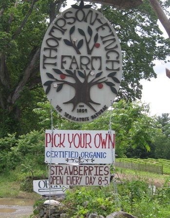 Rural Intelligence Food