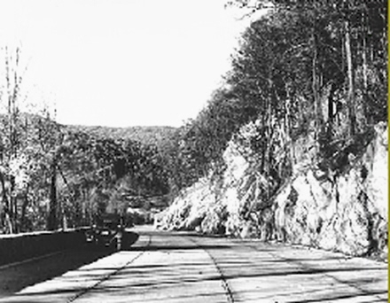 Rural Intelligence Style