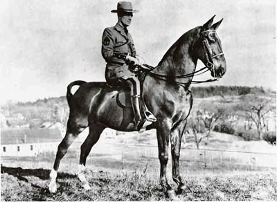 Rural Intelligence Style