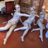 Rural Intelligence Parties and Openings