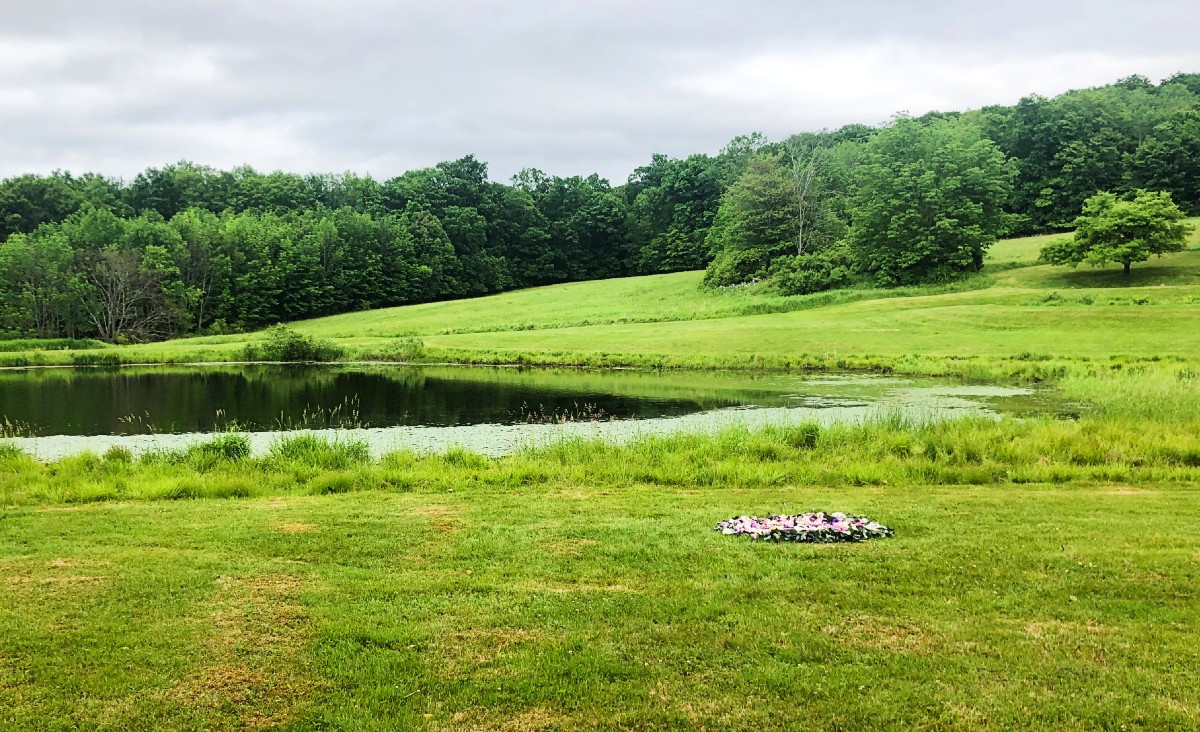 The actual lily pond The actual lily pond