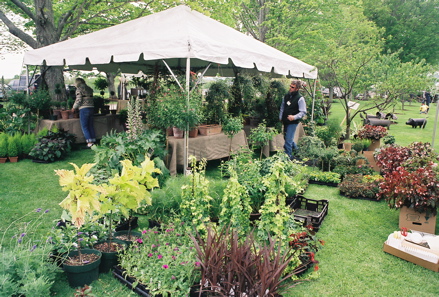 Rural Intelligence Road Trips