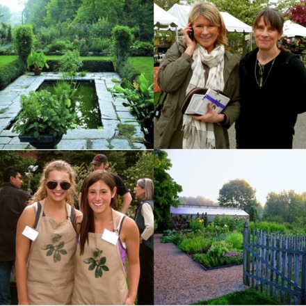 Rural Intelligence Style