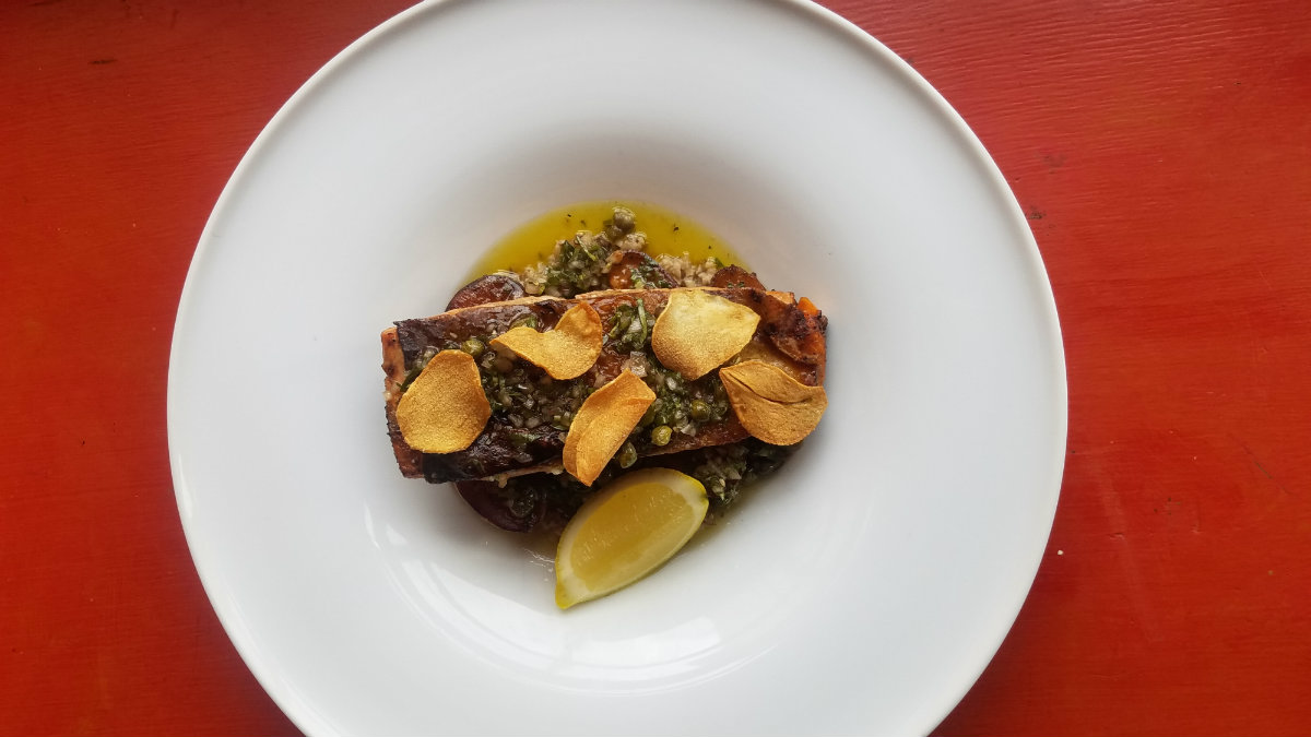 Grilled steelhead trout, crispy new potato, shiitake duxelle