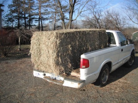 Rural Intelligence Food