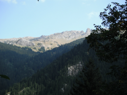 Rural Intelligence Food