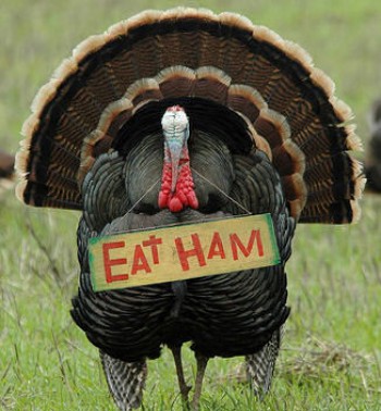 Rural Intelligence Food