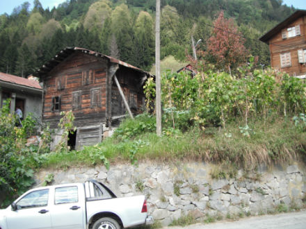 Rural Intelligence Food