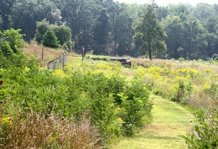 Olana Secret Foundation