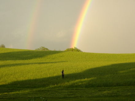 Rural Intelligence Food
