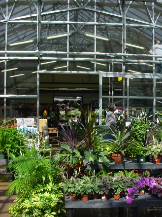 Rural Intelligence Style