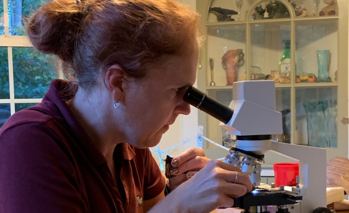 All photos courtesy Wendy Miller