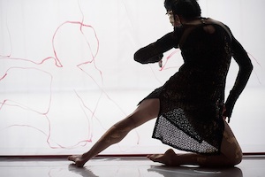 Rural Intelligence Arts