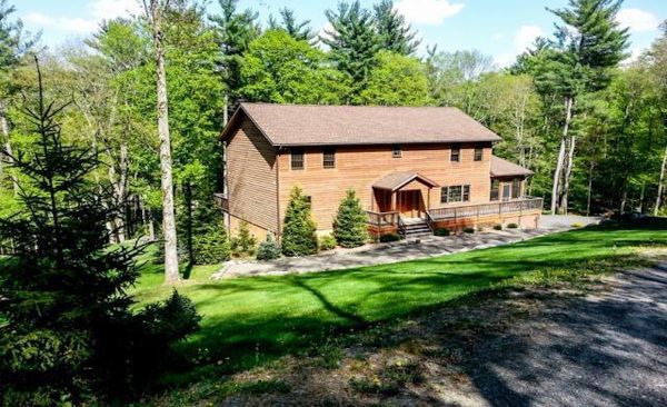 Screened By The Green