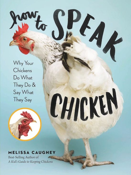The Rural Storey: How to chat with a chicken