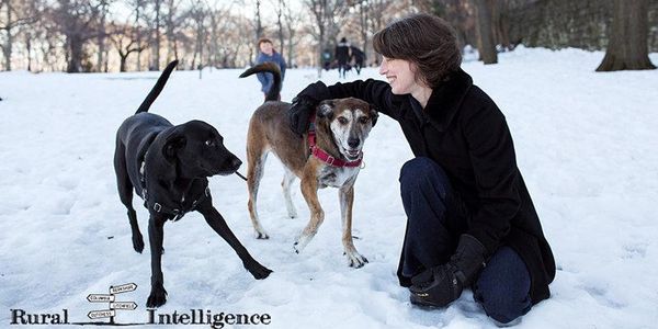 Join Us For Our First Virtual Event: Let's Talk About Our Dogs, Sept. 23 at 4 p.m.