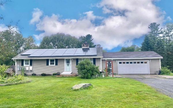 Between Pond And Forest