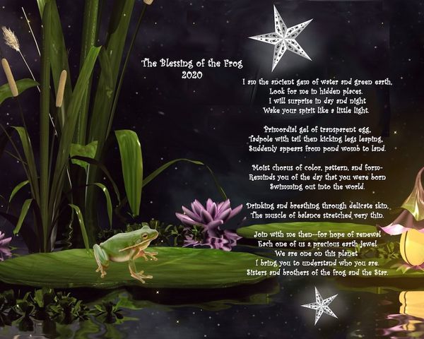 Sinterklaas Takes A Leap Year