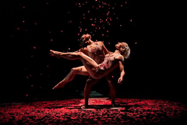 Trump’s NEA Strips Funds From Pilobolus Dance Company Program Benefiting Young Dancers of Color