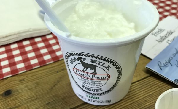 Portrait of Coach Farm, The Legacy of a Leather Goods Company