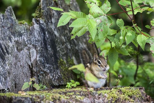 Essay: It Takes Time In The Country To Realize Where Civility Resides